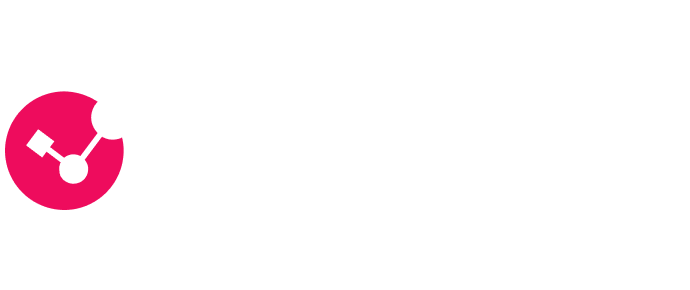 Check Point Logo